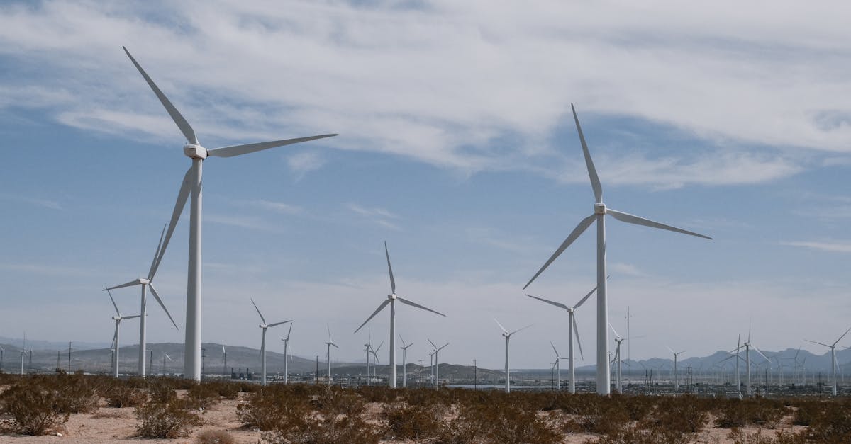 découvrez comment atteindre zéro émission grâce à des solutions innovantes et durables. adoptez un mode de vie éco-responsable pour préserver la planète et lutter contre le changement climatique.