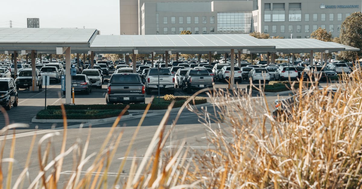 découvrez comment atteindre zéro émission pour protéger l’environnement, réduire votre empreinte carbone et adopter des solutions durables pour un avenir plus propre.
