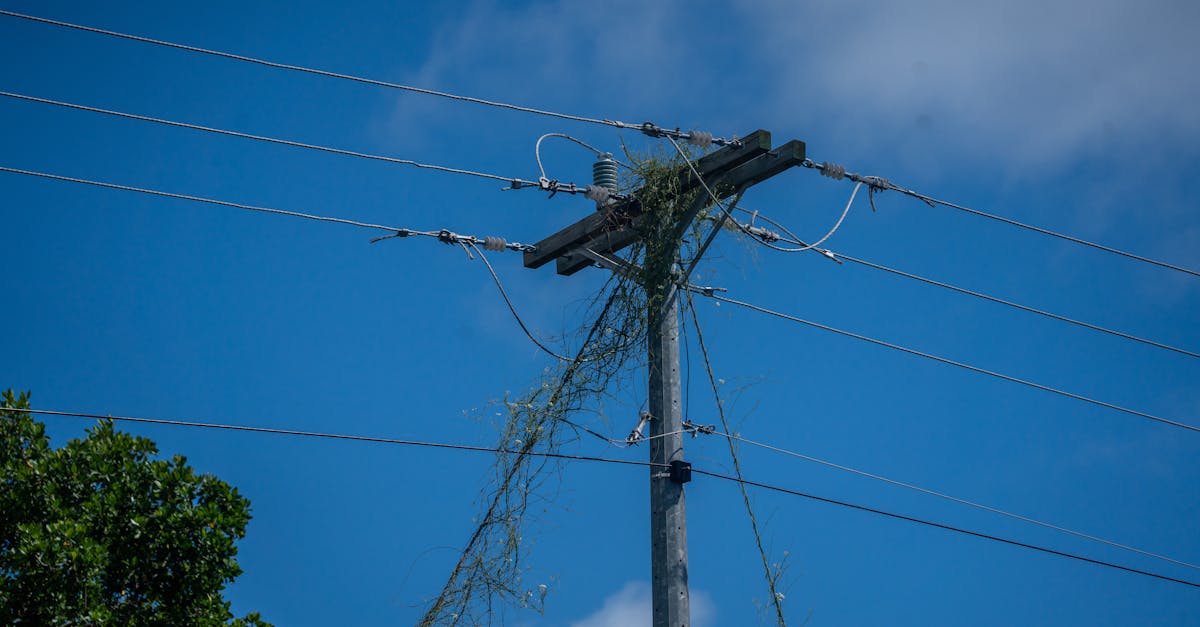 découvrez comment les taxis électriques révolutionnent le transport urbain : écologiques, silencieux et économiques. optez pour une mobilité durable avec les taxis électriques.