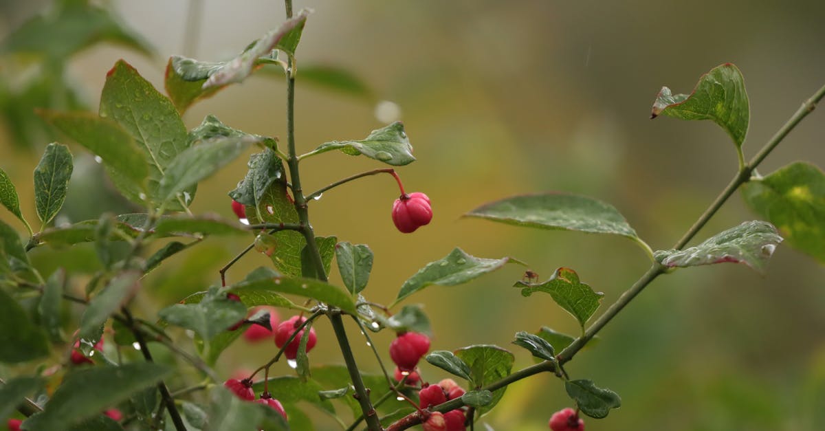 découvrez les nouvelles réglementations des taxis en 2025 : changements, impacts pour les chauffeurs, et bénéfices pour les passagers. restez informé sur les évolutions du secteur !
