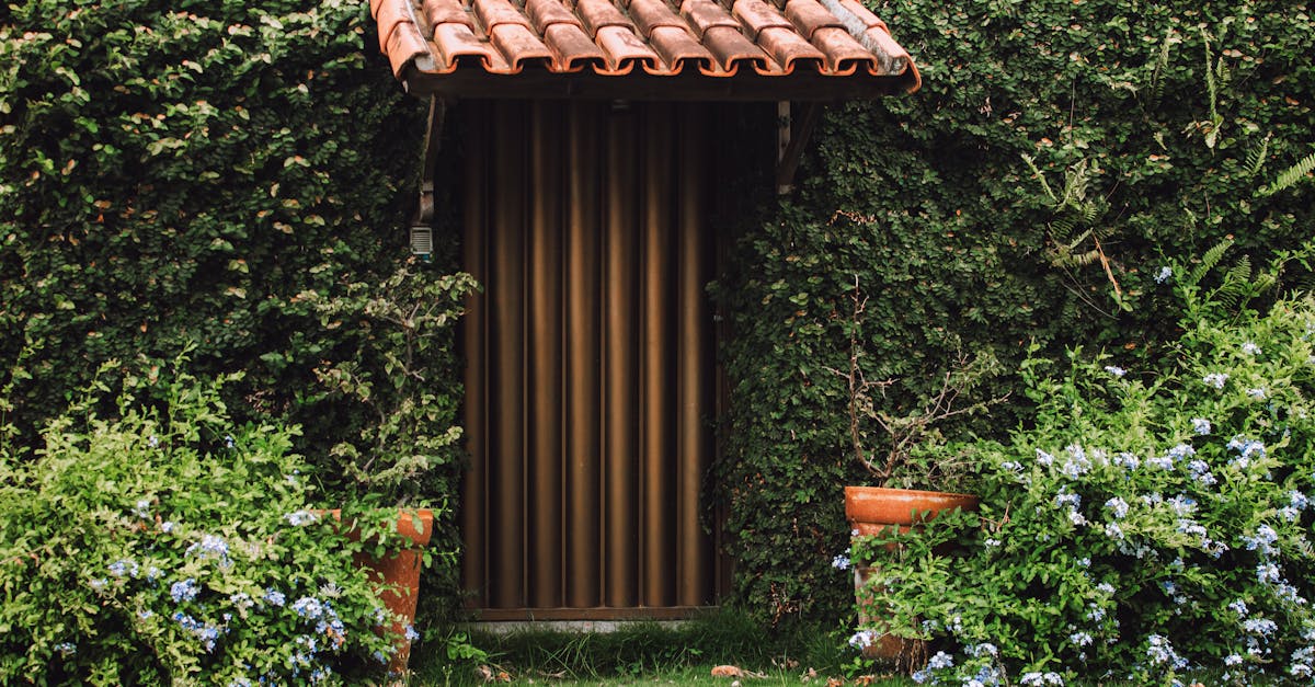 découvrez tout ce que vous devez savoir sur les frais cachés et comment les éviter pour économiser sur vos achats et services.