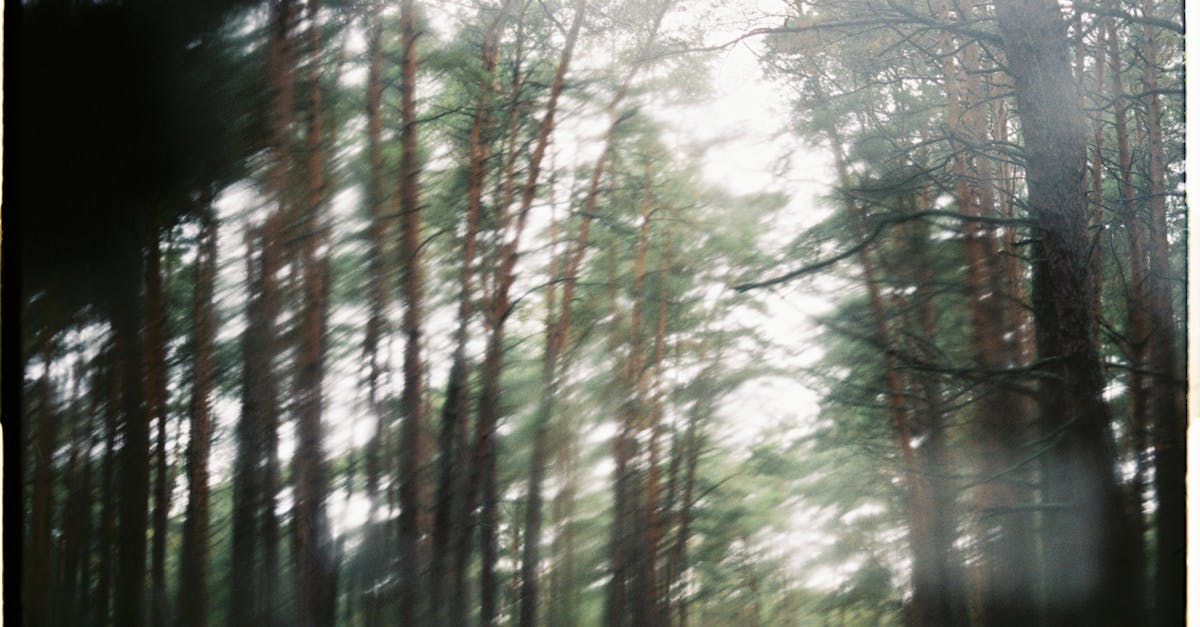 retrouvez facilement vos objets perdus dans un taxi grâce à nos conseils pratiques et nos services dédiés.