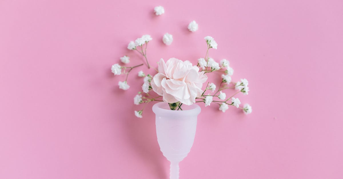 abonnez-vous à notre service mensuel de taxi pour des trajets illimités, pratiques et économiques en toute simplicité.