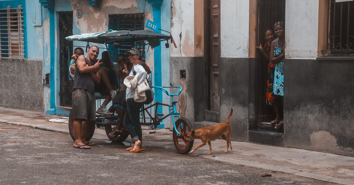 découvrez notre politique concernant les animaux de compagnie dans nos taxis pour un trajet confortable et sans souci avec votre compagnon à quatre pattes.