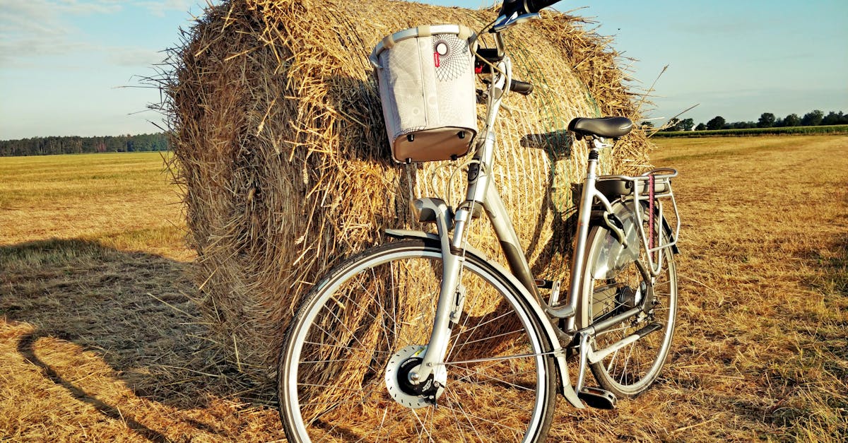 service de transport de vélos en taxi rapide et sécurisé, idéal pour vos déplacements urbains avec votre vélo.