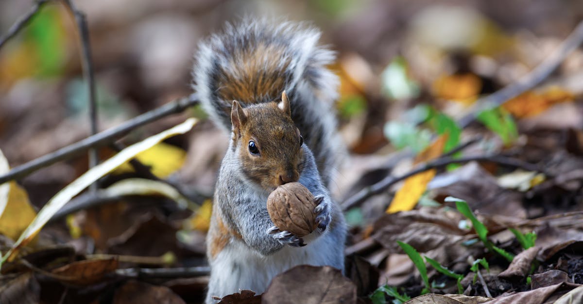 découvrez nos conseils pratiques pour manger dans un taxi en toute simplicité et confort, que ce soit lors de vos déplacements urbains ou de vos trajets plus longs.