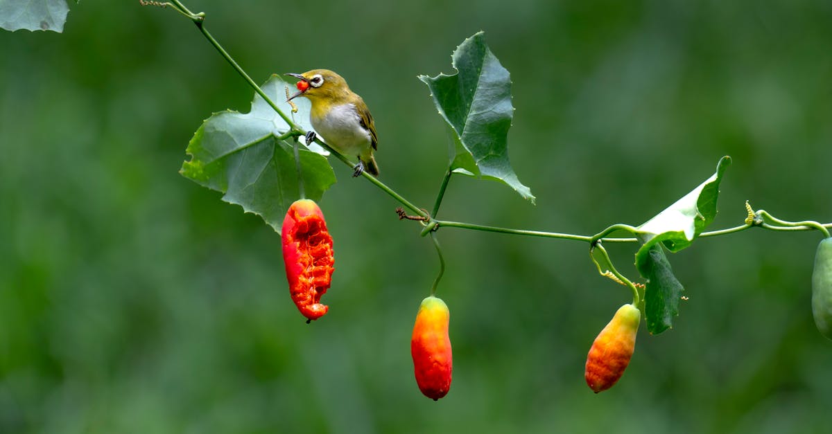 découvrez nos astuces et conseils pour manger facilement et proprement dans un taxi, que ce soit lors de vos déplacements quotidiens ou lors de vos voyages.