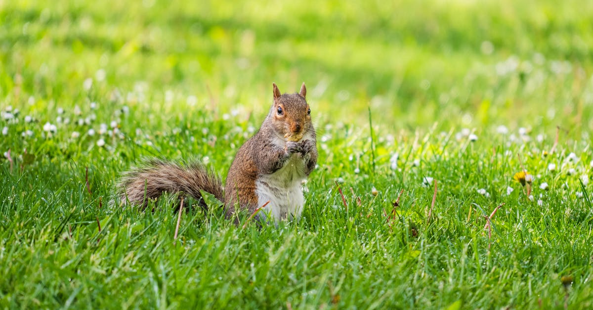 découvrez nos conseils et astuces pour manger facilement et proprement dans un taxi, que ce soit lors de vos trajets quotidiens ou de vos déplacements en ville.