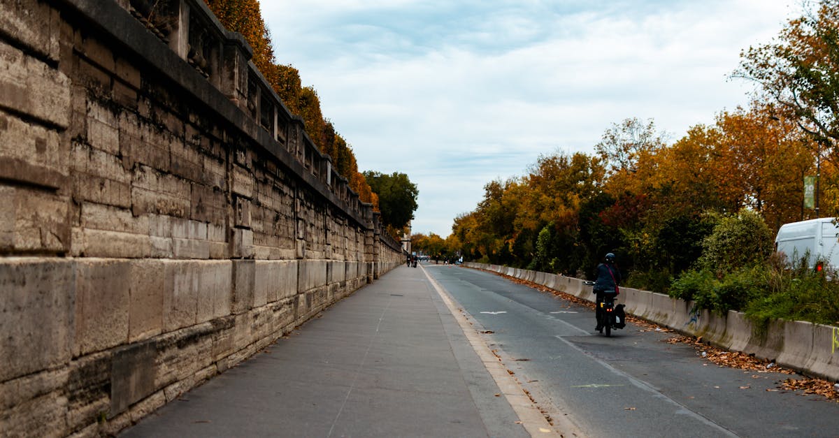 découvrez les taxis les plus rapides de paris pour un trajet rapide et confortable au cœur de la capitale.