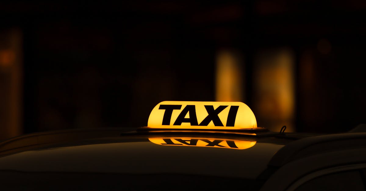 réservez facilement votre taxi pour animaux de compagnie. service sécurisé et confortable pour transporter vos pets en toute tranquillité.