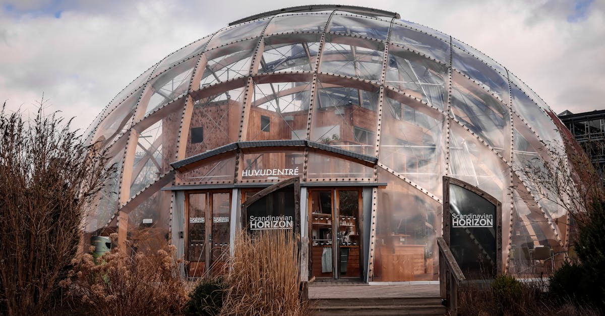 découvrez les dernières innovations dans le secteur des taxis en 2025, incluant les technologies avancées, la mobilité durable et les services améliorés pour un transport urbain révolutionnaire.