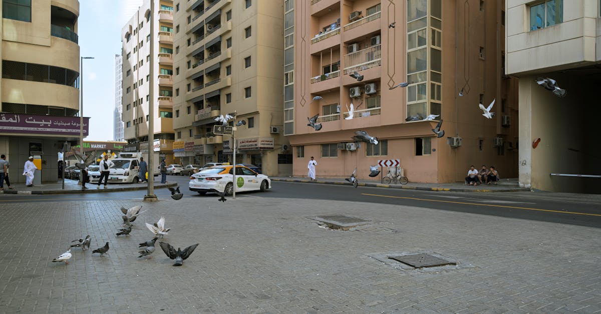 service vip taxi offrant des trajets confortables, rapides et sécurisés. réservez votre course avec des chauffeurs professionnels pour une expérience de transport haut de gamme.