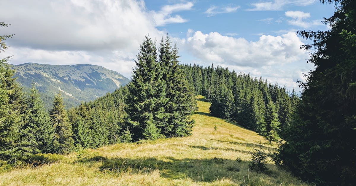 découvrez notre section lost and found pour retrouver vos objets perdus rapidement et facilement. assistance fiable et efficace pour tous vos biens égarés.