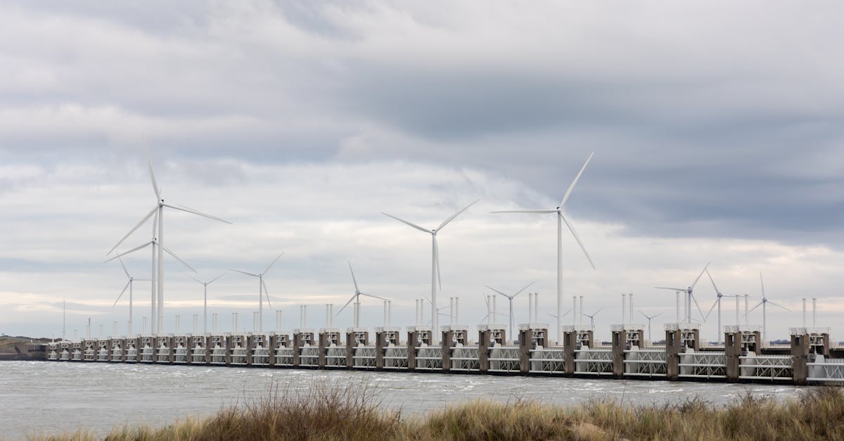 taxi énergie renouvelable : optez pour un transport écologique et durable, respectueux de l'environnement grâce à des véhicules fonctionnant aux énergies propres.
