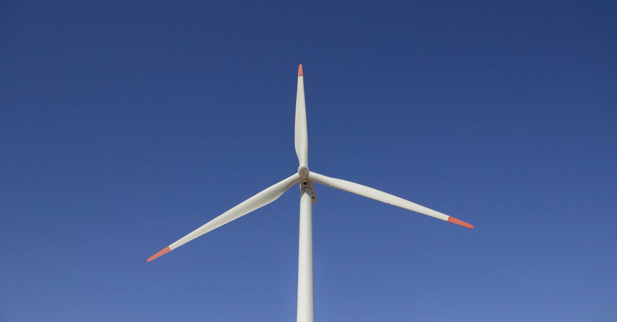 découvrez notre service de taxi écologique fonctionnant à l'énergie renouvelable, alliant confort, rapidité et respect de l'environnement pour vos déplacements urbains.