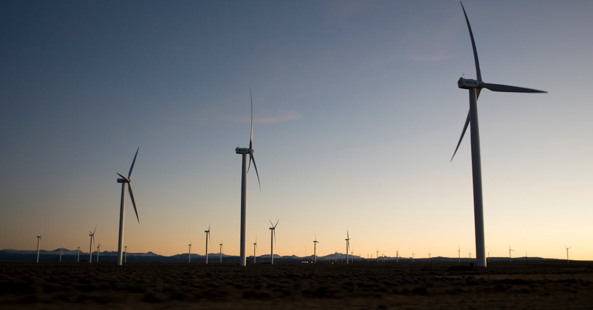 découvrez notre service de taxi écologique utilisant des énergies renouvelables pour un transport durable et respectueux de l'environnement.